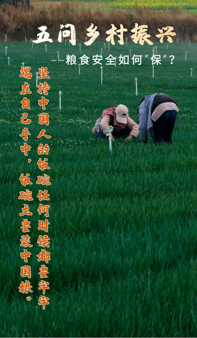 五問鄉(xiāng)村振興——看中央一號(hào)文件如何開啟鄉(xiāng)村振興新篇章