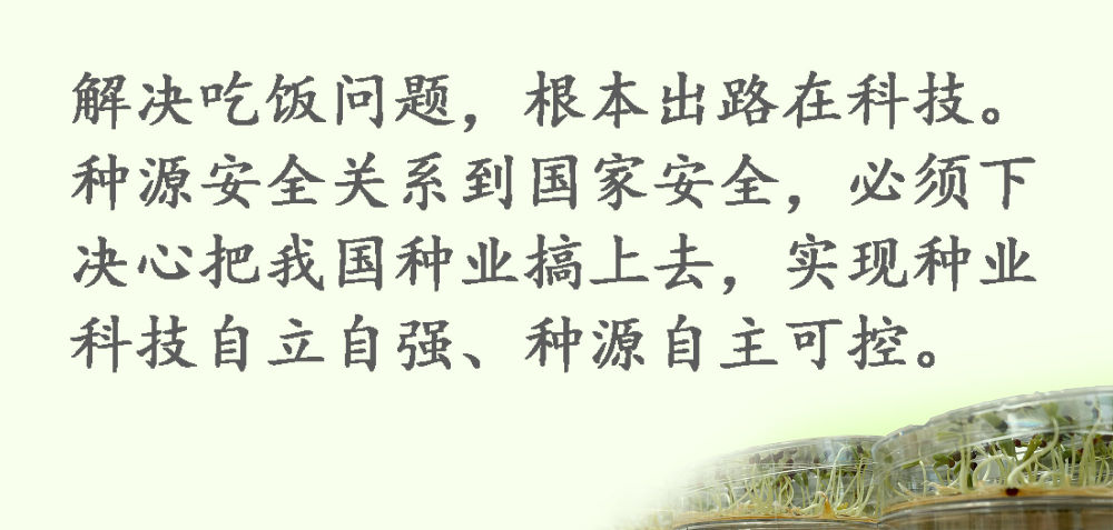 鏡觀·領航丨習近平:這是一件具有戰(zhàn)略意義的大事