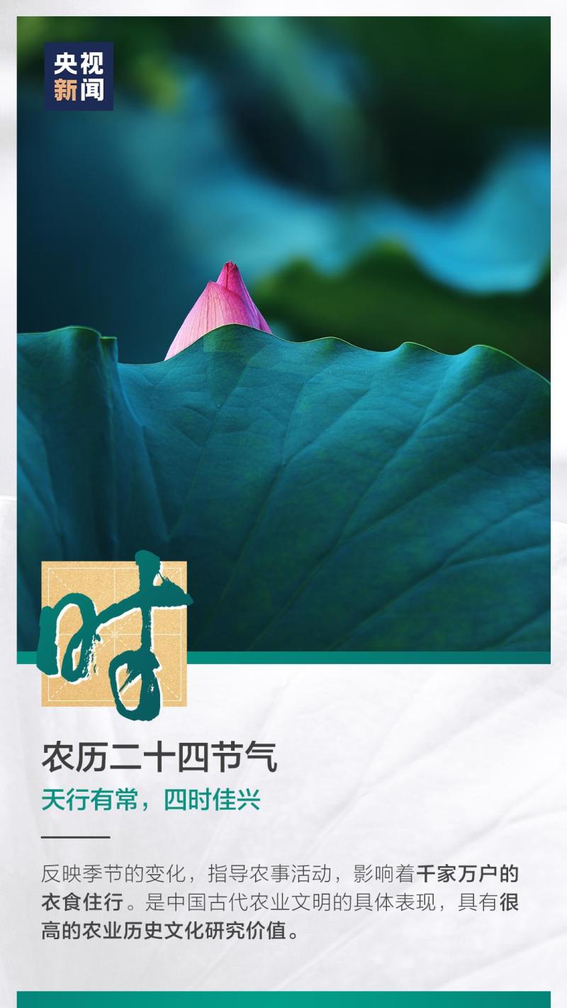 這也太浪漫了吧！