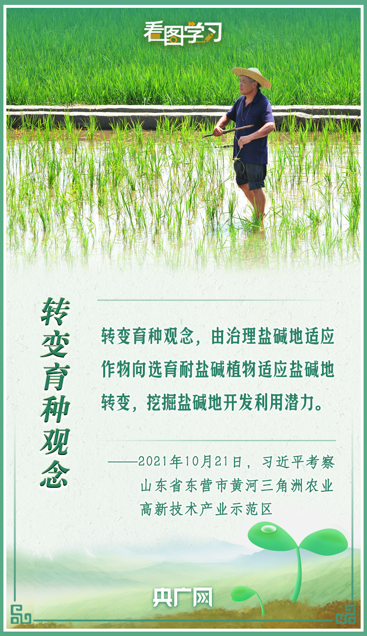 看圖學(xué)習(xí)|牢記總書記叮囑 攥緊種子端牢飯碗