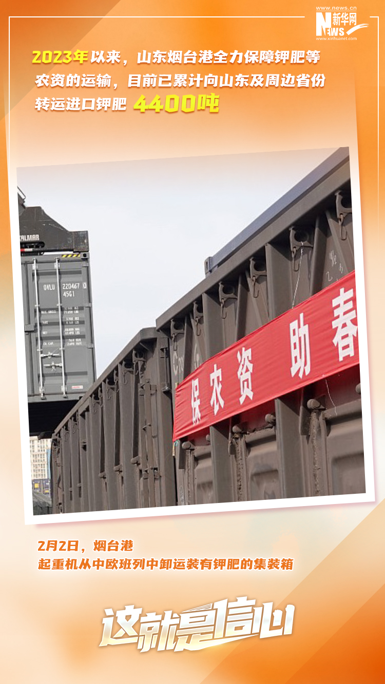 這就是信心｜實(shí)干爭春早，外貿(mào)樞紐貨運(yùn)忙