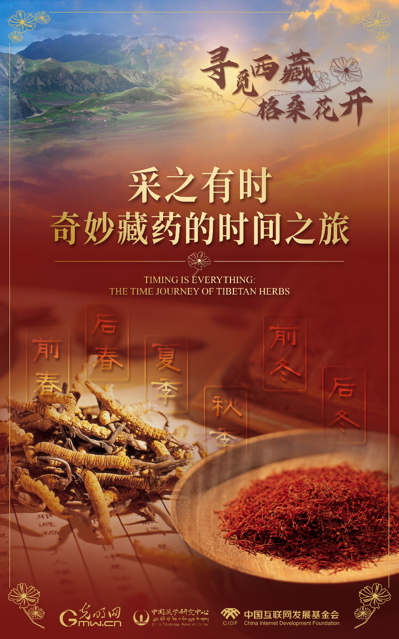 【尋覓西藏·格?；ㄩ_】采之有時：奇妙藏藥的時間之旅