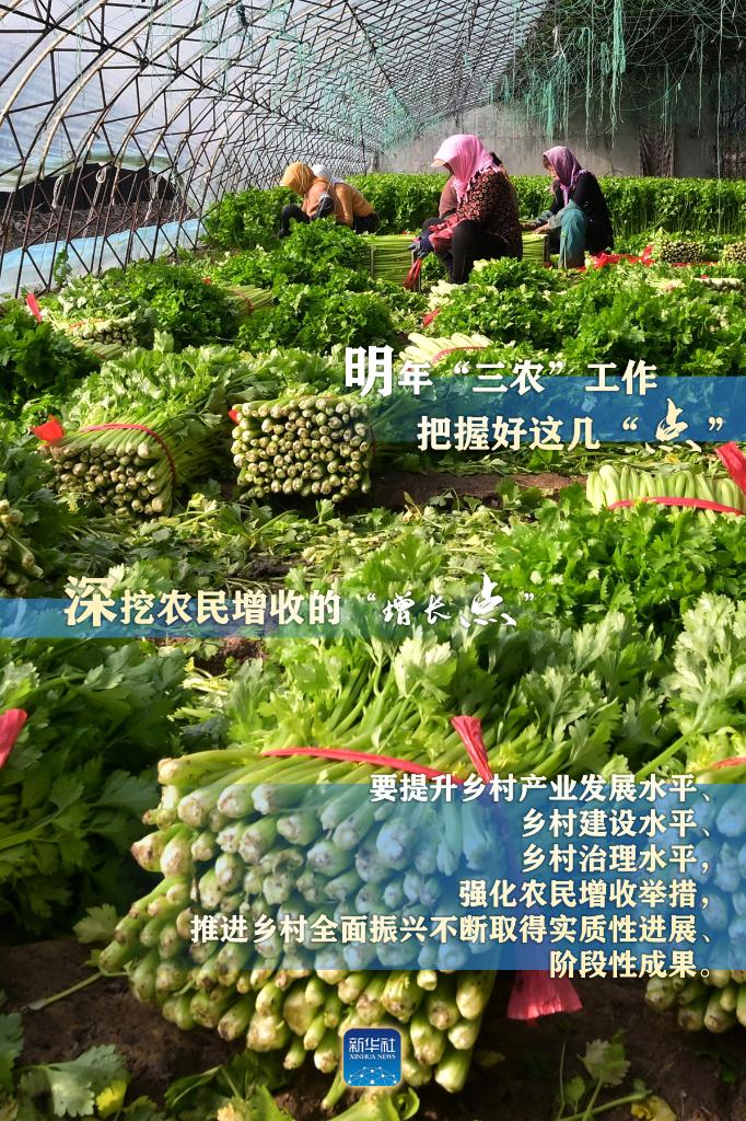 明年“三農(nóng)”工作，這幾個“點”要把握好