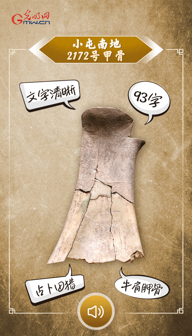 文物會(huì)說話 | 殷墟博物館新館開館啦，帶你奔赴“千年之約”