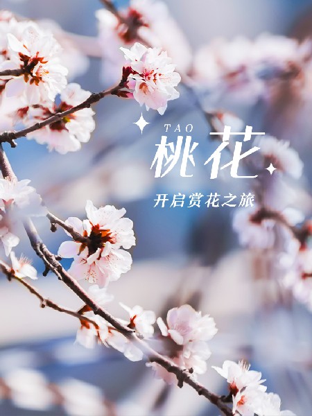 追花指南第三期！別等了 今天就去和桃花撞個滿懷