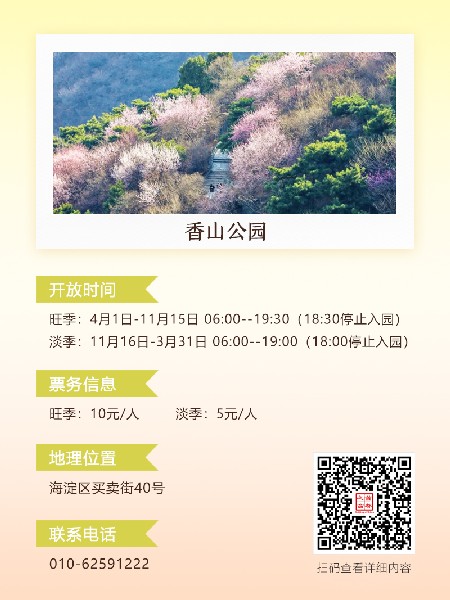 追花指南第六期！杏花雨 楊柳風 北京最美的杏花在這里