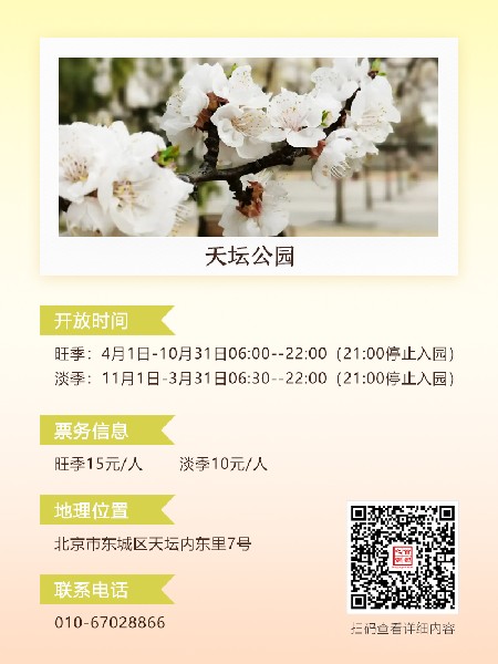 追花指南第六期！杏花雨 楊柳風 北京最美的杏花在這里