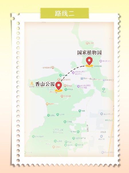 追花指南第六期！杏花雨 楊柳風 北京最美的杏花在這里