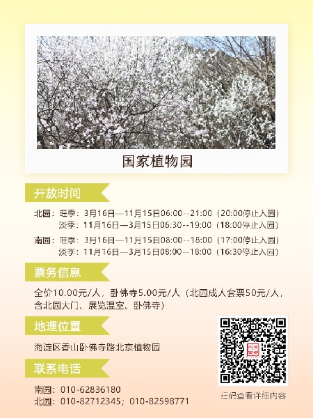 追花指南第六期！杏花雨 楊柳風 北京最美的杏花在這里