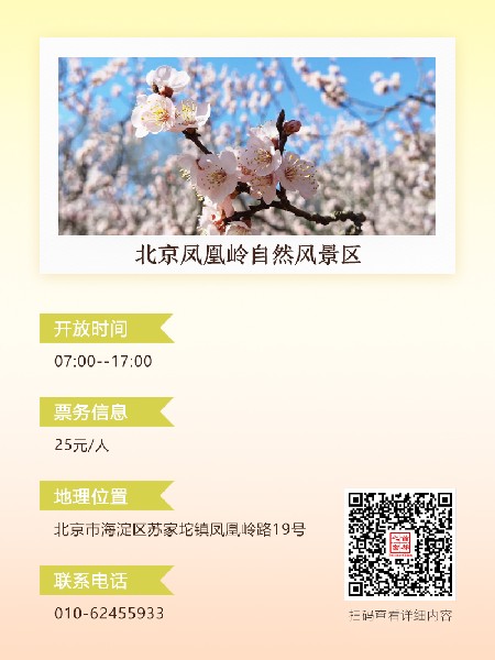 追花指南第六期！杏花雨 楊柳風 北京最美的杏花在這里