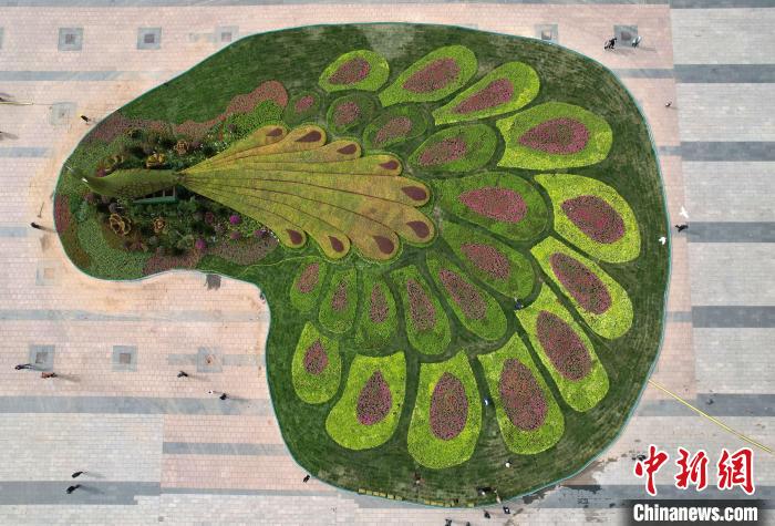 圖為航拍花壇。(無人機(jī)照片) 翟羽佳 攝