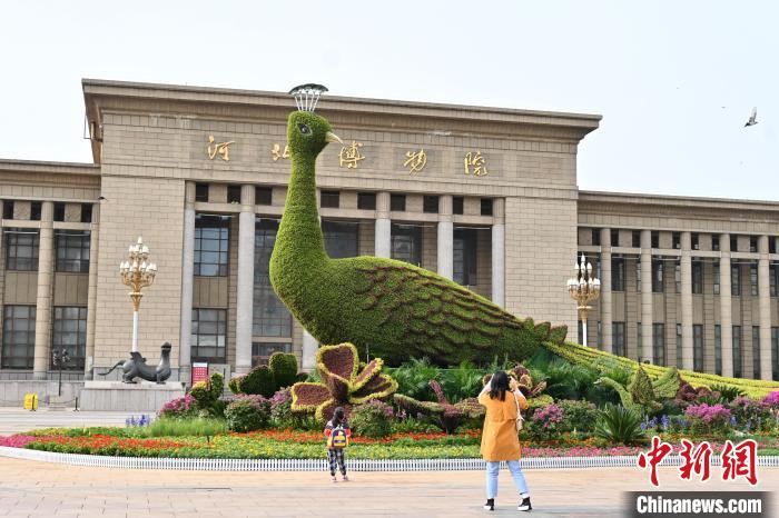 圖為游客在花壇前拍照打卡?！〉杂鸺?攝