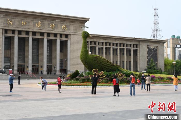 圖為游客在花壇前拍照打卡?！〉杂鸺?攝