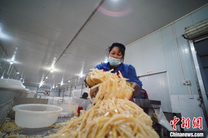 圖為一名工人正在處理切成條狀后的酸筍?！№f國政 攝