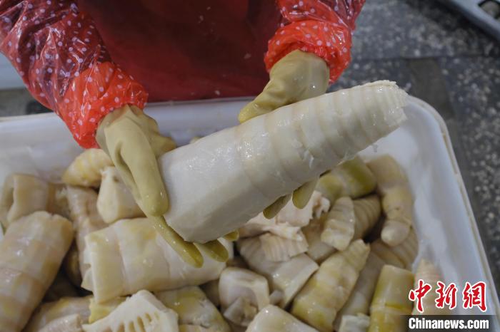 圖為整根腌制后撈出的酸筍?！⒖÷?攝