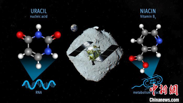 國際最新研究稱，近地小行星“龍宮”上發(fā)現(xiàn)尿嘧啶等核酸堿基
