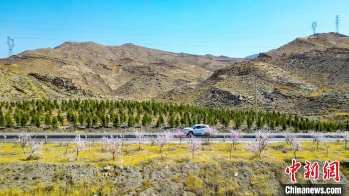 生態(tài)修復后逐漸變綠的賀蘭山石嘴山段。　石嘴山市委宣傳部供圖