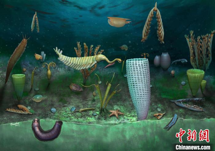 Castle Bank動(dòng)物群藝術(shù)復(fù)原圖(Yang Dinghua繪制)?！∈┢樟指瘛ぷ匀?供圖