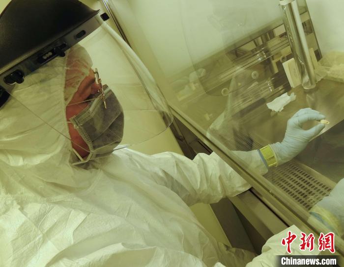 Elena Essel在凈室中處理鹿牙墜飾(圖片來自馬克斯·普朗克演化人類學(xué)研究所)?！∈┢樟指瘛ぷ匀?供圖