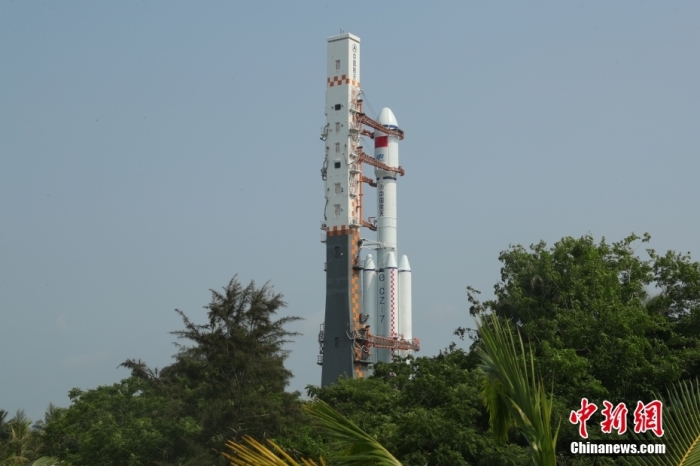 圖為轉(zhuǎn)運(yùn)現(xiàn)場。攝影 邱立軍 黃國暢