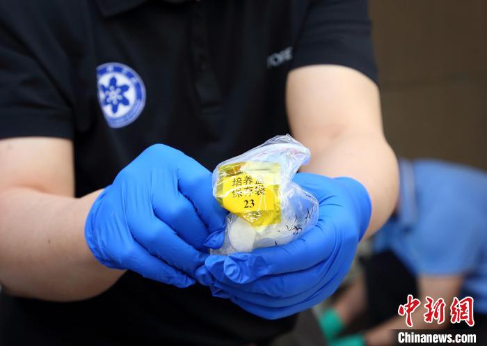 隨神舟十五號(hào)返回地面的空間科學(xué)實(shí)驗(yàn)樣品?！≈锌圃嚎臻g應(yīng)用中心 供圖