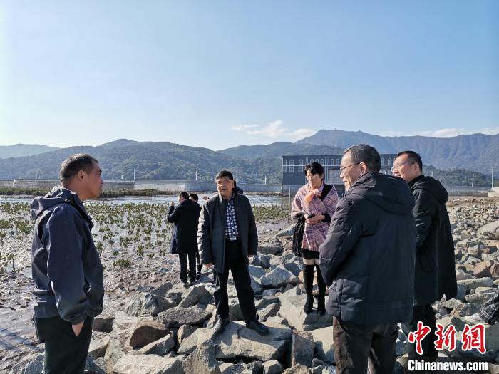 浙江海洋生態(tài)觀察：智慧大腦如何解鎖藍(lán)色發(fā)展密碼？