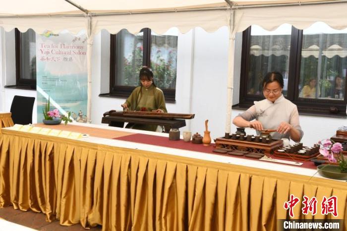 圖為余亞麗茶藝展示，王曉嬋古琴演奏 柏林中國文化中心供圖。