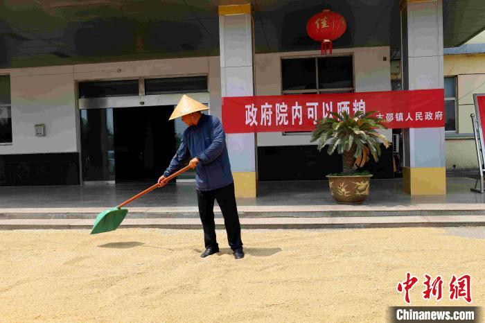 村民在棗莊市嶧城區(qū)古邵鎮(zhèn)政府大院內(nèi)晾曬糧食?！『?　攝