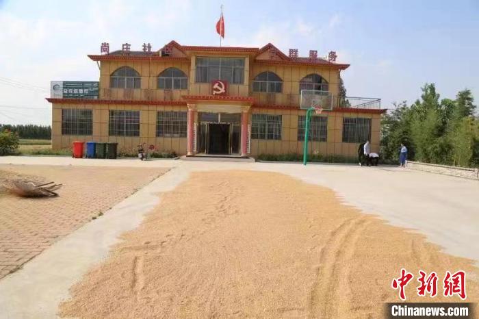 農(nóng)民在邳莊鎮(zhèn)尚莊村黨群服務(wù)中心大院里曬糧?！≠Z萌 攝
