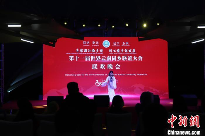 圖為第十一屆世界云南同鄉(xiāng)聯(lián)誼大會(huì)舉辦聯(lián)歡晚會(huì)。　崔永江 攝