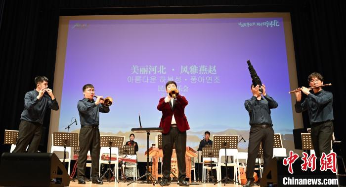 圖為音樂(lè)會(huì)現(xiàn)場(chǎng)?！∈谞栔袊?guó)文化中心供圖