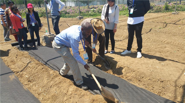 孫釗現(xiàn)場(chǎng)指導(dǎo)農(nóng)民耕種。受訪者供圖