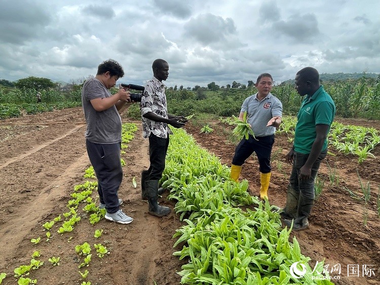 人民網(wǎng)記者走進尼日利亞農(nóng)業(yè)技術(shù)示范中心。人民網(wǎng)記者 趙艷紅攝