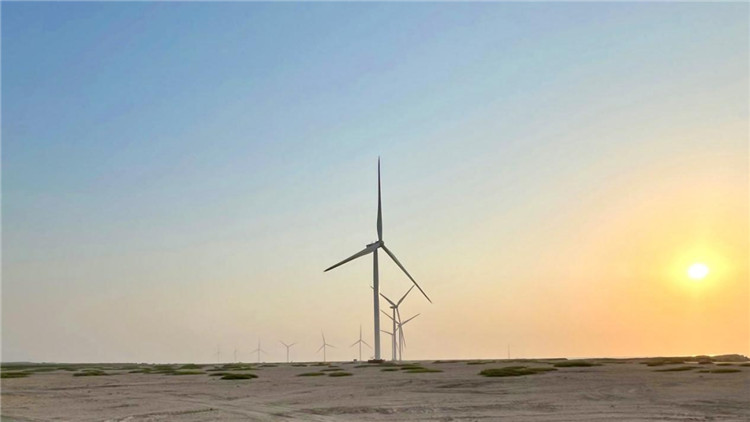圖為阿聯(lián)酋風(fēng)電示范項目在阿布扎比薩爾巴尼亞斯島上的風(fēng)電場。 中國電建供圖