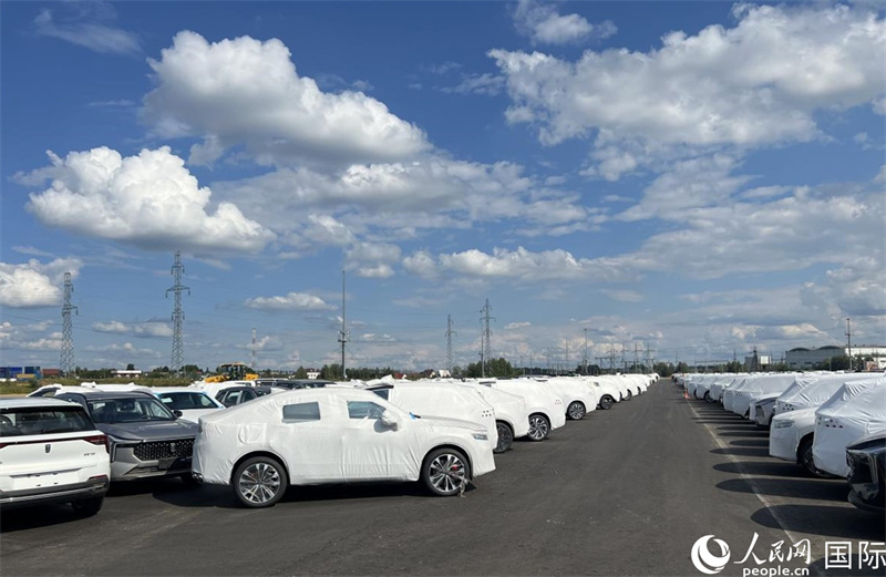 莫斯科別雷拉斯特物流中心內(nèi)的中國品牌汽車。人民網(wǎng)記者 申佳平攝