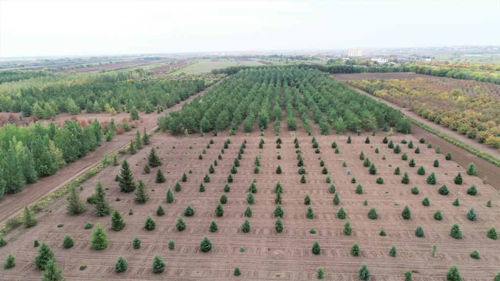 這是2023年9月11日在哈薩克斯坦首都阿斯塔納拍攝的一處植物種質(zhì)資源苗圃（無人機(jī)照片）。新華社發(fā)（法爾哈特·圖克諾夫 攝）