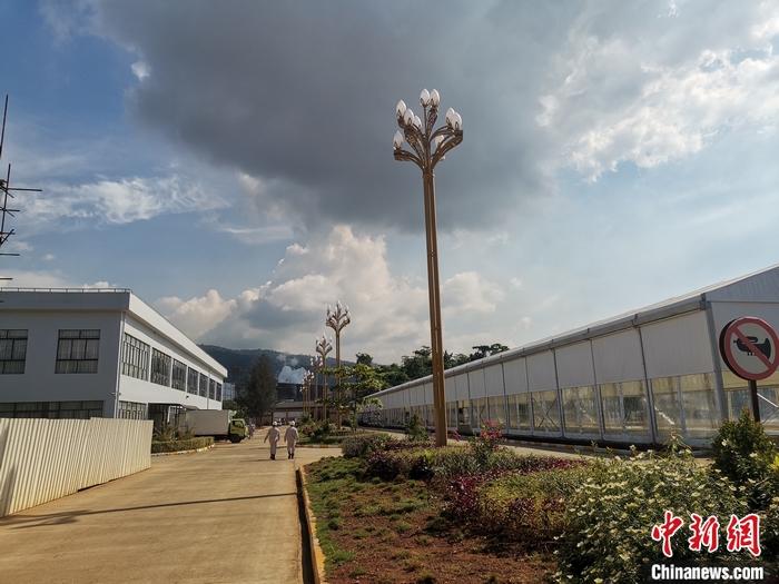 圖為園區(qū)生活區(qū)。 受訪者供圖