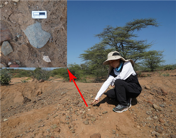 地層中的勒瓦婁哇石片。中肯聯(lián)合考古隊(duì)供圖