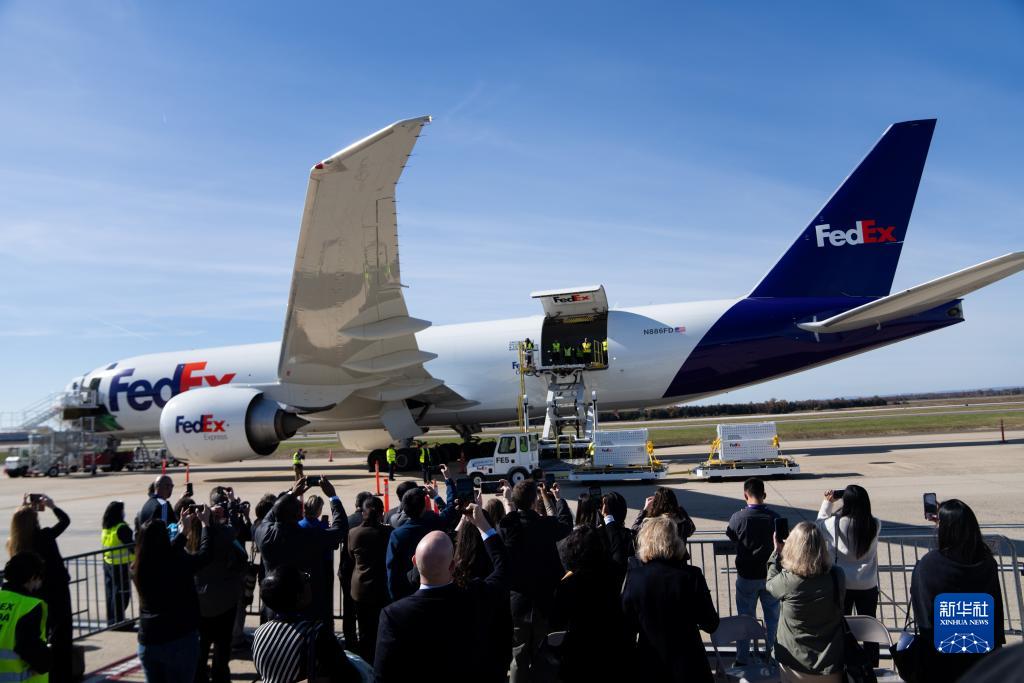 11月8日，在美國弗吉尼亞州的華盛頓杜勒斯國際機(jī)場，裝有大熊貓的特制“旅行包廂”準(zhǔn)備運(yùn)上專機(jī)。新華社記者劉杰攝