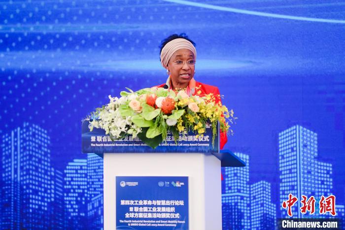 聯(lián)合國(guó)工業(yè)發(fā)展組織總干事代表兼執(zhí)行干事法圖 海達(dá)拉致辭。