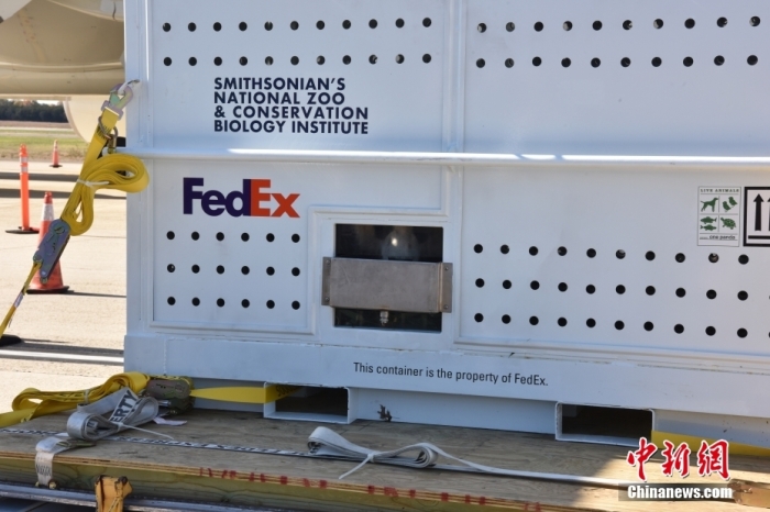 當(dāng)?shù)貢r間11月8日，美國華盛頓史密森學(xué)會國家動物園的大熊貓“美香”“添添”和它們的幼崽“小奇跡”乘坐的專機從華盛頓杜勒斯國際機場起飛前往中國成都。圖為裝有大熊貓的特制“旅行箱”。<a target='_blank' href='/'><p  align=
