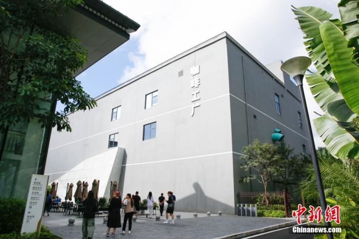 圖為采訪團一行參觀咖啡工廠。 曹淼欣 攝