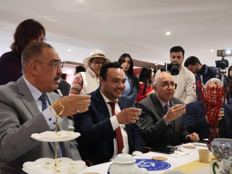 觀眾興致勃勃地體驗茶藝。陳芷珊攝