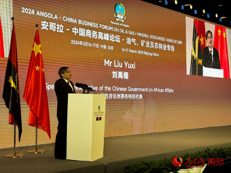 中國政府非洲事務(wù)特別代表劉禹錫。人民網(wǎng)記者 張榮攝