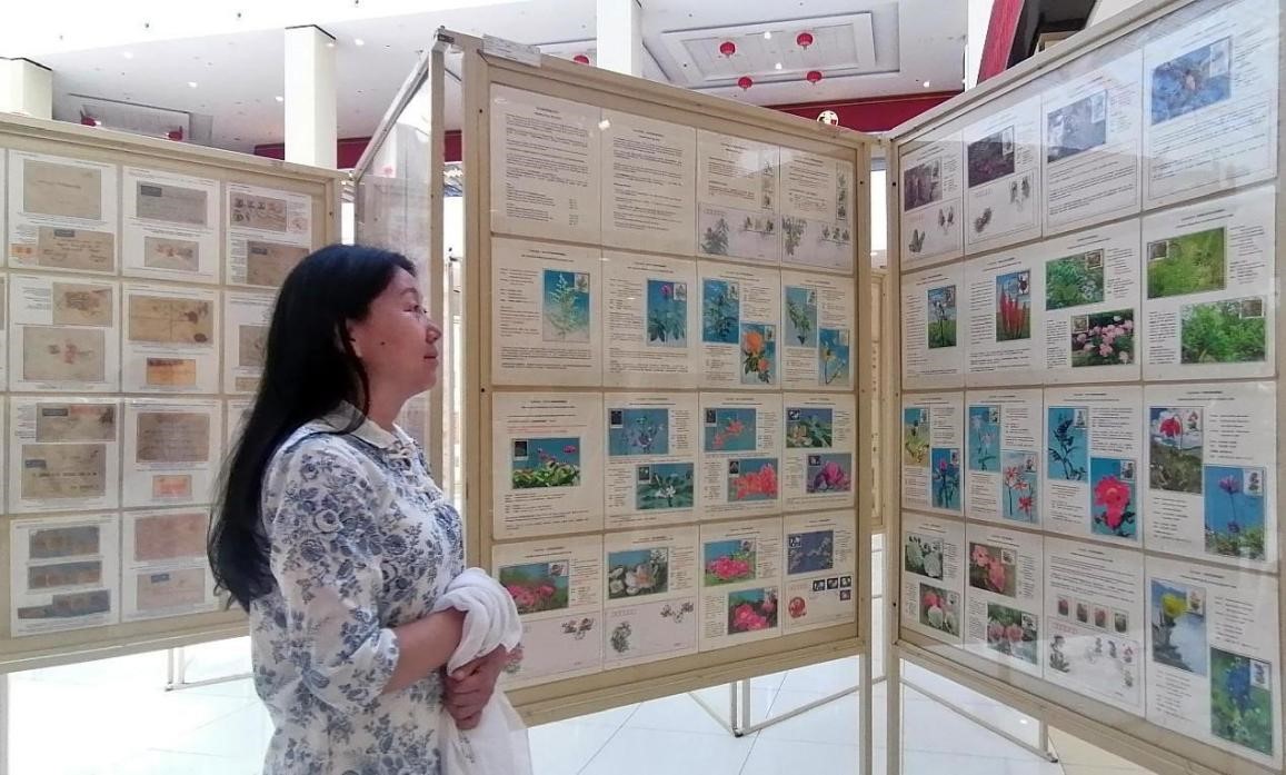 藥用植物極限片展覽場景。第七屆阿聯(lián)酋集郵展主辦方供圖