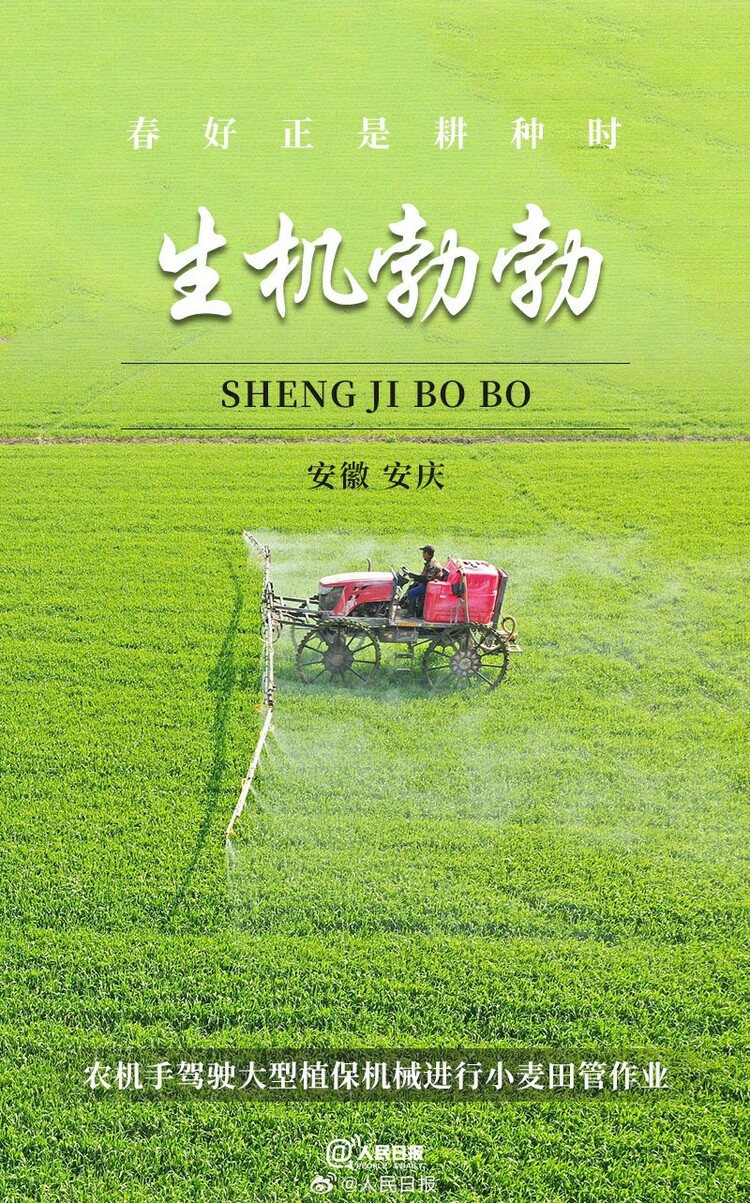 生機(jī)盎然！用課本封面打開(kāi)春耕畫(huà)卷