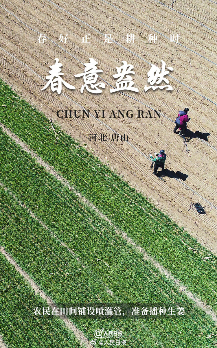 生機(jī)盎然！用課本封面打開(kāi)春耕畫(huà)卷