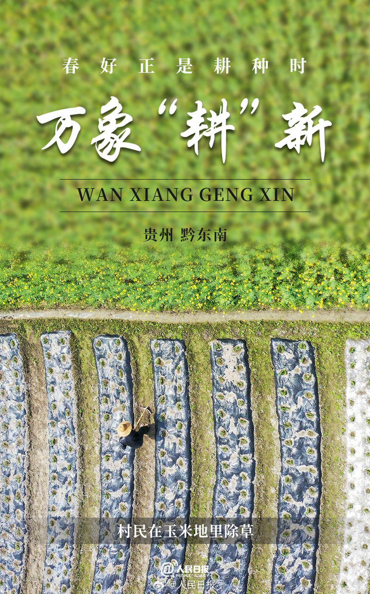 生機(jī)盎然！用課本封面打開(kāi)春耕畫(huà)卷