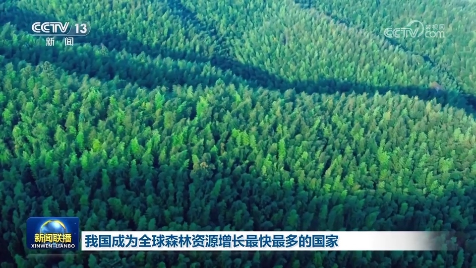 我國成為全球森林資源增長(zhǎng)最快最多的國家