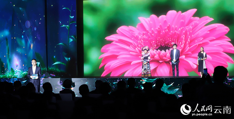 科技賦能 云南開遠花卉產業(yè)綻放“美麗經(jīng)濟”